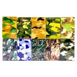 Camo Plastic Cigarette Case - King